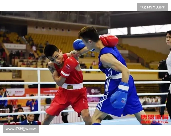 2017全国拳击锦标赛