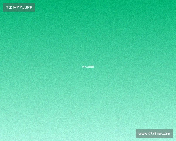 wtcc冠军车型 wtcc冠军车型